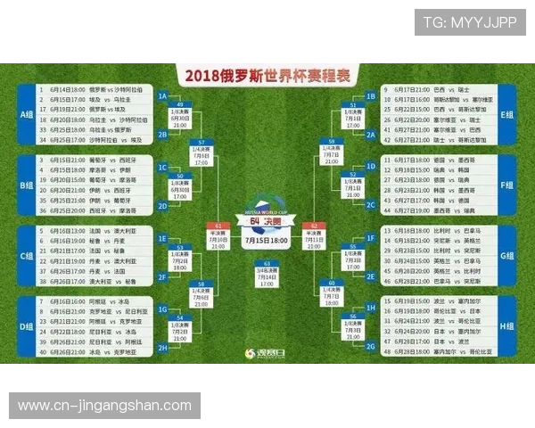 南京网球队在世界杯中的团队协作表现分析与启示